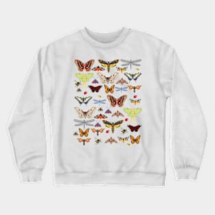 Vintage Butterfly Art Natures Pollinators Crewneck Sweatshirt